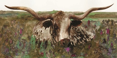 Texas Longhorn in Field by Stellar Design Studio art print