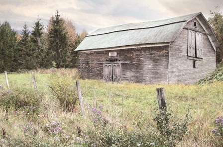 Rustic Country Barn by Lori Deiter art print