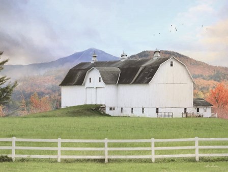 Adirondack Farm by Lori Deiter art print