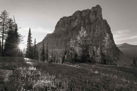 Boulder Pass Glacier National Park BW by Alan Majchrowicz art print