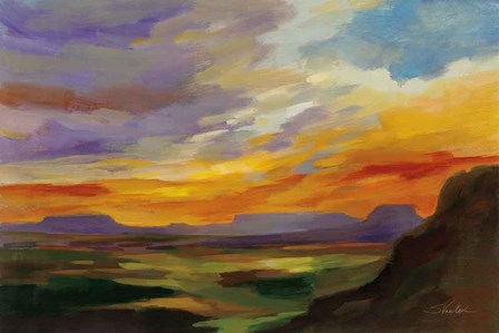 Sonoran Desert Sunset by Silvia Vassileva art print