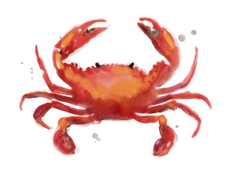 Crab Cameo I by June Erica Vess art print