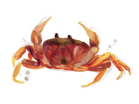 Crab Cameo III by June Erica Vess art print