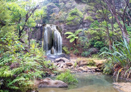 Rainforest waterfall (detail) by Pangea Images art print