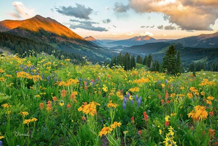 Wash Gulch Wild by J.C. Leacock art print