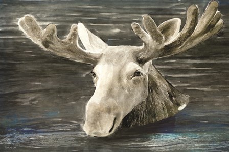 Lake Moose by Stellar Design Studio art print