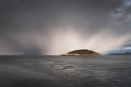 Deception Pass Island by Alan Majchrowicz art print