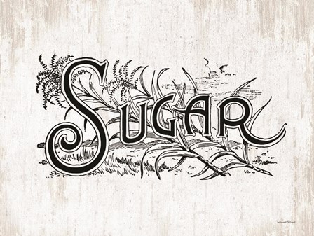 Sugar by Lettered &amp; Lined art print