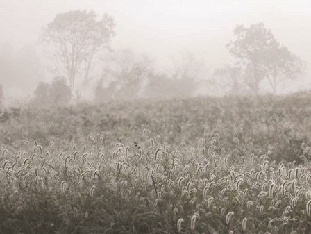 Dreamy Field by Lori Deiter art print