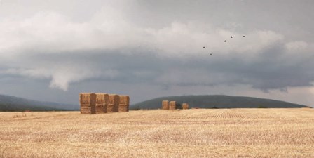 Stormy Day Harvest I by Lori Deiter art print