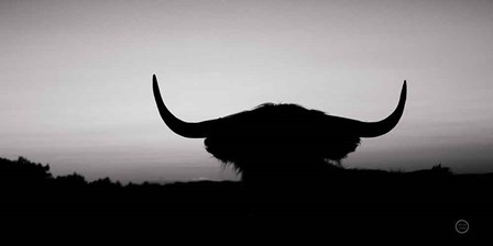 Bull Set BW Crop by Nathan Larson art print