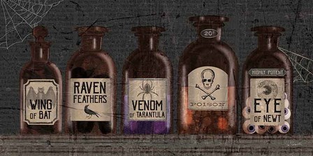 Apothecary Noir VI by Sue Schlabach art print