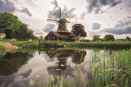 Beauty in the Sky by Martin Podt art print