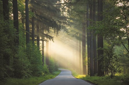 The Road by Martin Podt art print