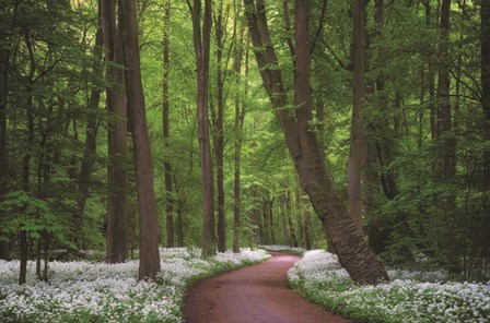 Fragrant Road by Martin Podt art print