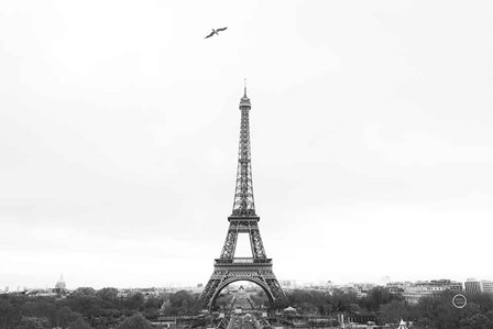 A Birds View of Paris Crop I by Nathan Larson art print