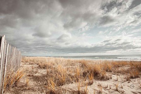 Atlantic Coast Afternoon by Nathan Larson art print