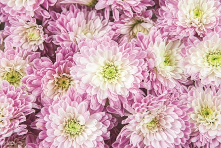 Pretty in Purple I by Donnie Quillen art print