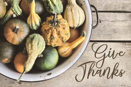 Give Thanks by Lori Deiter art print