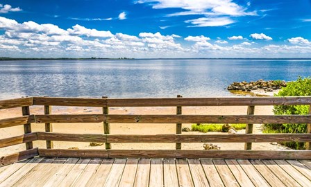 Ocean Overlook by Bill Carson Photography art print