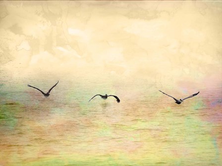 Seagulls In The Sky I by Ynon Mabat art print