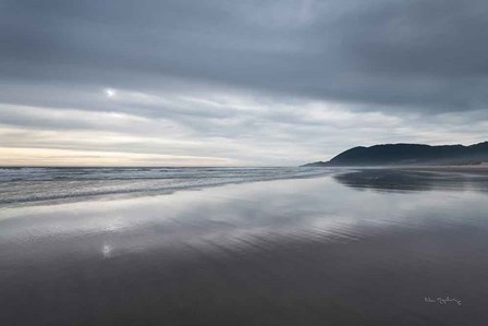 Nehalem Beach Oregon by Alan Majchrowicz art print