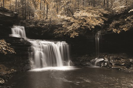 Golden Waterfall I by Lori Deiter art print