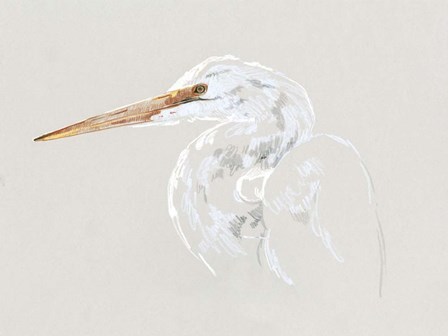 Bright Egret Sketch II by Emma Caroline art print