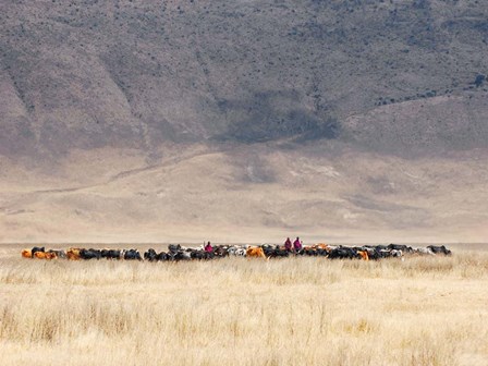 Incredible Maasai by Mathilde Guillemot art print