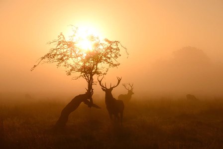 Guardians of Light by Robert Fabrowski art print