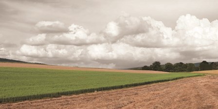 Country Storm Clouds by Lori Deiter art print