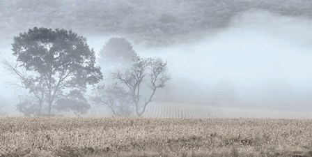 Blue Misty Morning by Lori Deiter art print