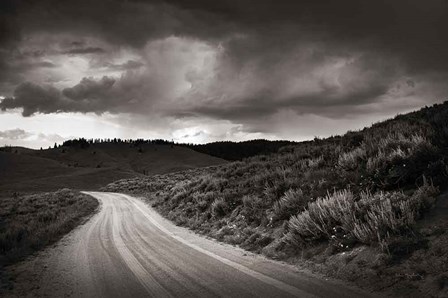 Stanley Basin Road by Alan Majchrowicz art print