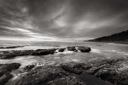 Kalaloch Beach by Alan Majchrowicz art print