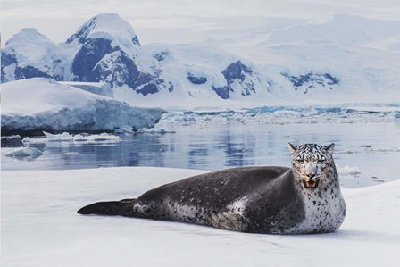 Leopard Seal by Pixelmated Animals art print