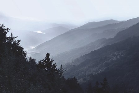 Newfound Gap View by Lori Deiter art print