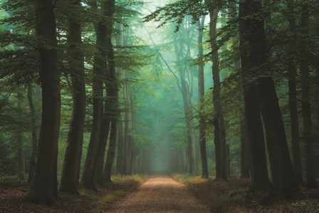 Road of Mysteries by Martin Podt art print