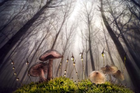 Small and Giant Creatures of the Woods by Alberto Ghizzi Panizza art print