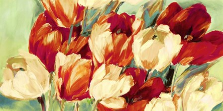 Red &amp; White Tulips by Jim Stone art print