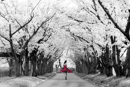 Sakura Girl by Haute Photo Collection art print