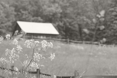 Summer Farm III BW by Sue Schlabach art print