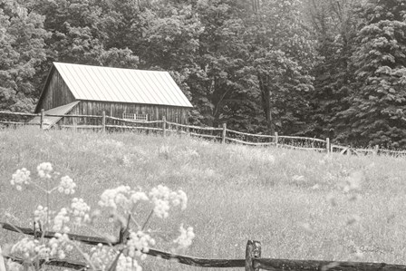 Summer Farm I BW by Sue Schlabach art print