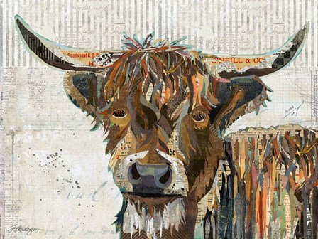Highland Cow by Traci Anderson art print