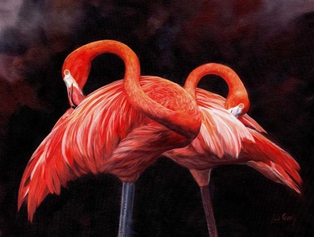 Flamingos by David Stribbling art print