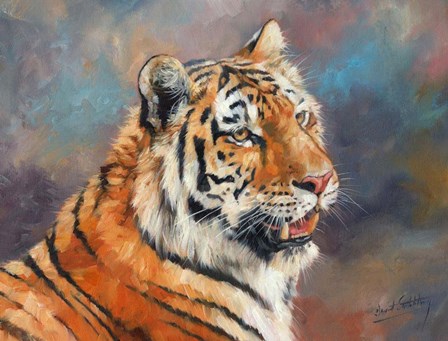 Tiger On Crushed Colors by David Stribbling art print
