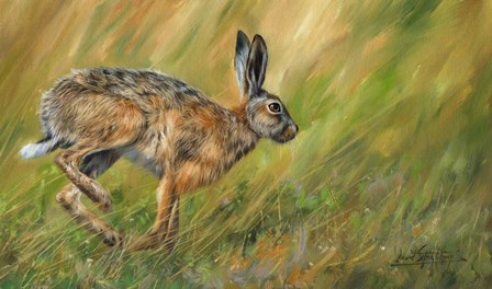 Hare Running by David Stribbling art print