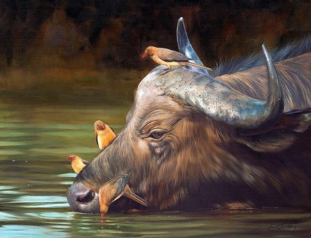 Buffalo And Oxpeckers by David Stribbling art print