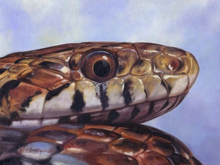 Snake by David Stribbling art print