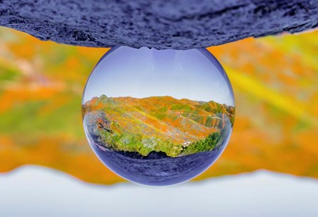 Reflective Orb by Jeff Poe Photography art print