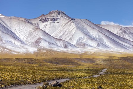 Panoramic View Of the Lascar Volcano Complex in Chile by Giulio Ercolani/Stocktrek Images art print